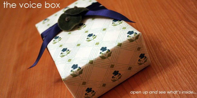 The Voice Box
