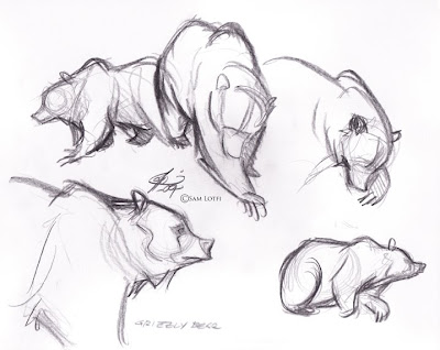Grizzly Drawing