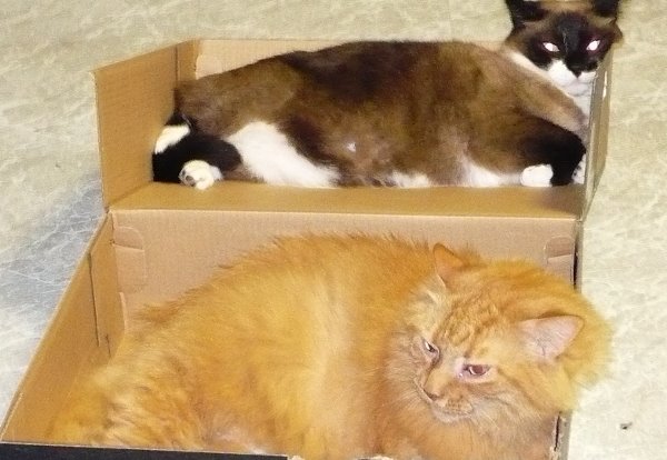 [box_mao_and_brainball.jpg]