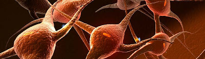 pediatric neurology case studies pediatric neurology case studies