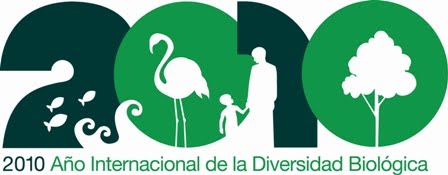 [IYB2010_Logo_Spanishweb.jpg]