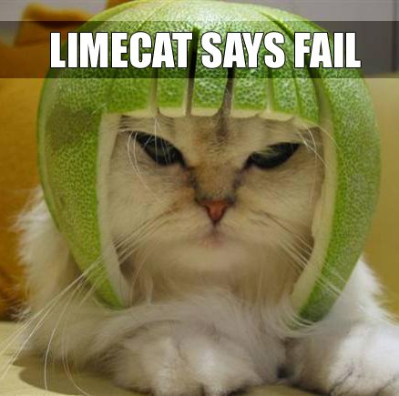 [Limecatfail1kd.jpg]