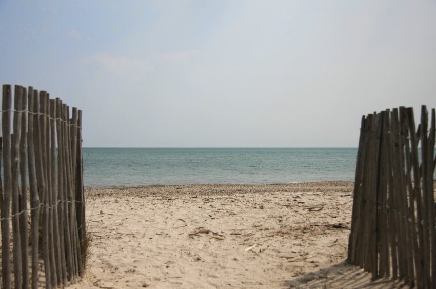 [Strand.JPG]