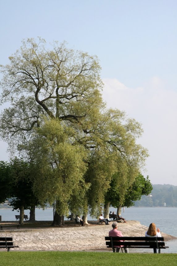 [IMG_6710_2+klein.JPG]