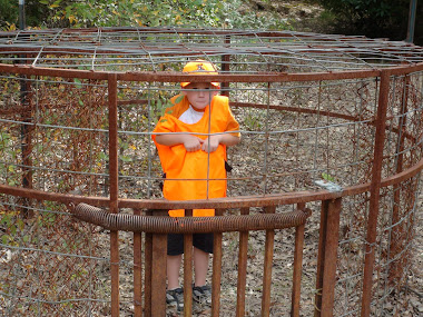 michael in hog trap in cooper wildlife management area