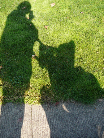 [WalkingShadows.jpg]