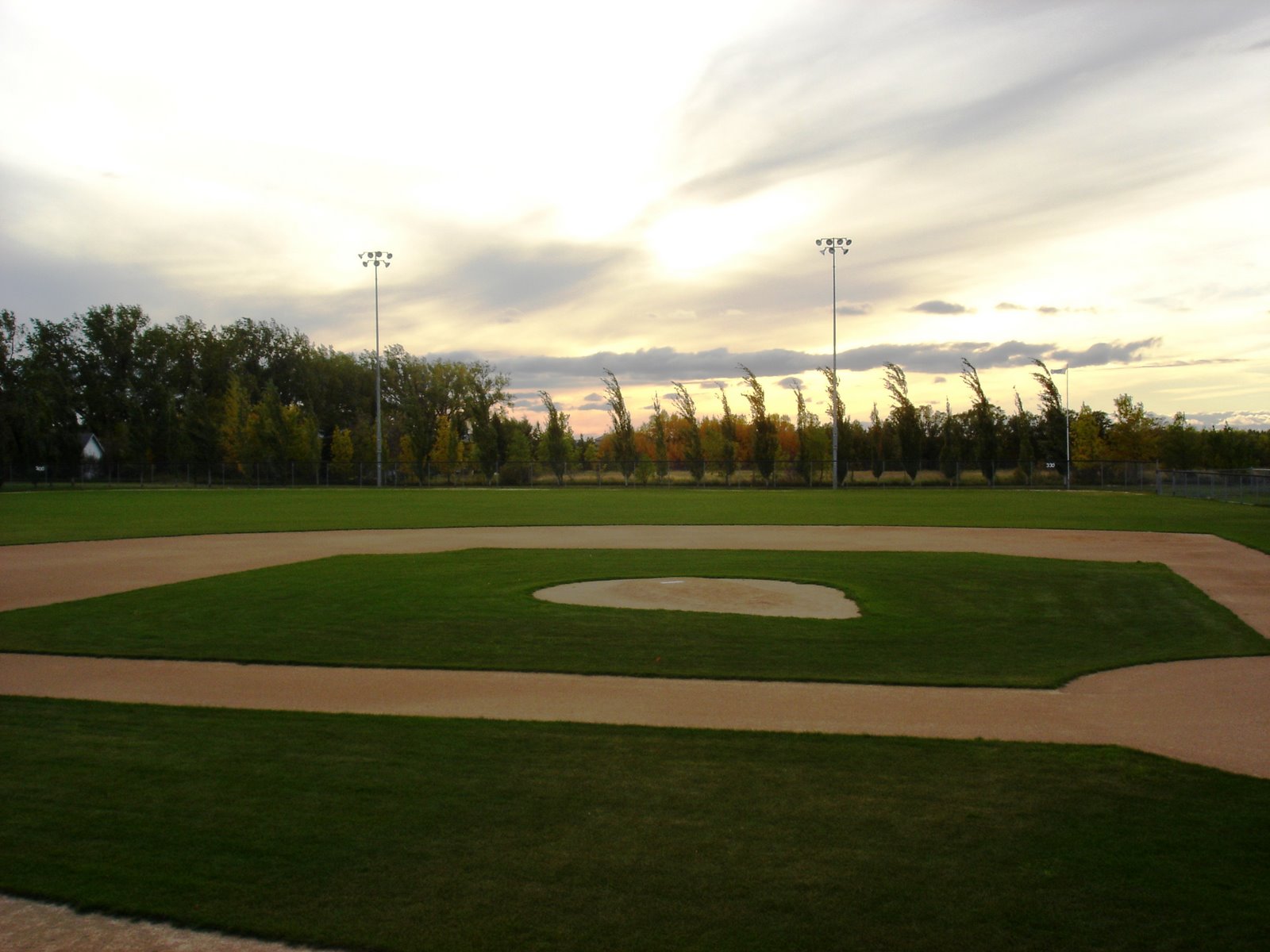 [baseball+diamonds+1.jpg]