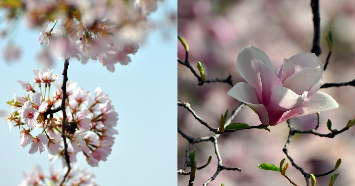 FF7SL Hits A Century!