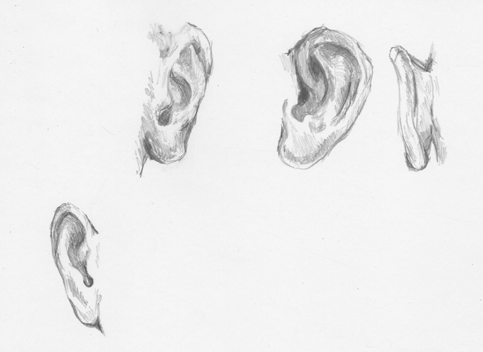 Ear Sketch