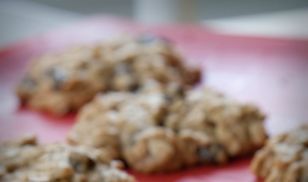 Luminary Havens Gluten Free and Vegan Carob Chip Oatmeal Cookies