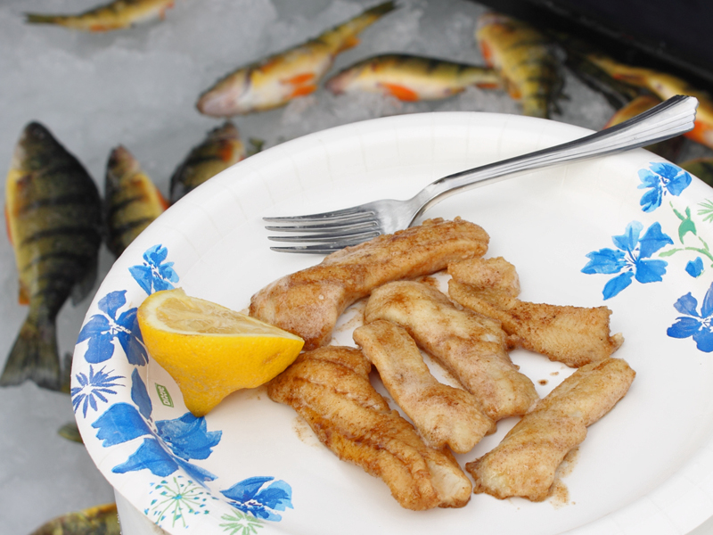 cooked perch