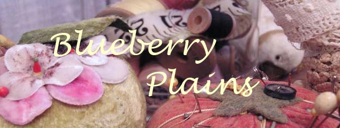 Blueberry Plains