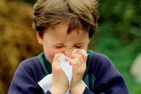 [snot.bmp]