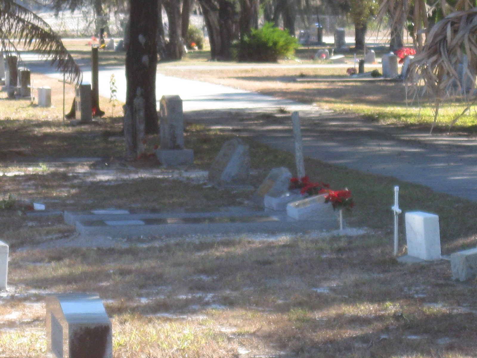 Eclectic Travels Fort Denaud