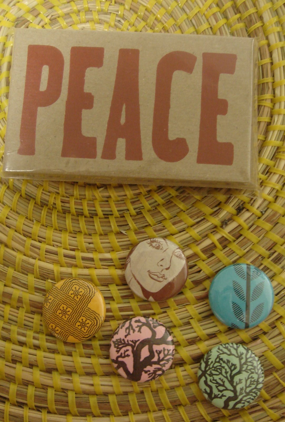 [DSC02255.JPG]