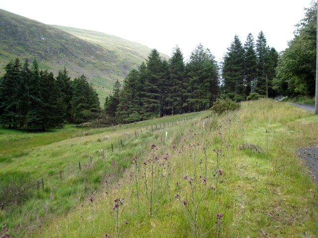 [2007-07-05,13+Scotland+411.JPG]