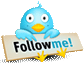 Follow on Twitter