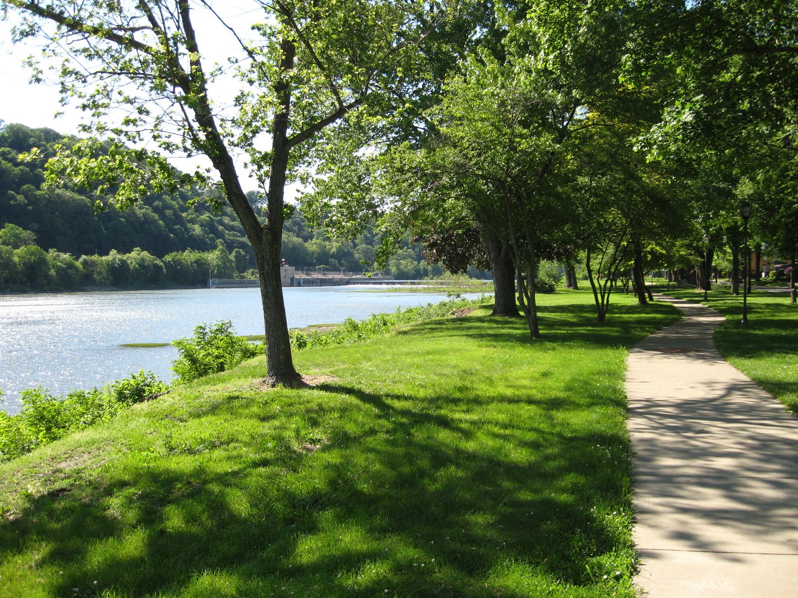 [gaelic+storm+001.jpg]