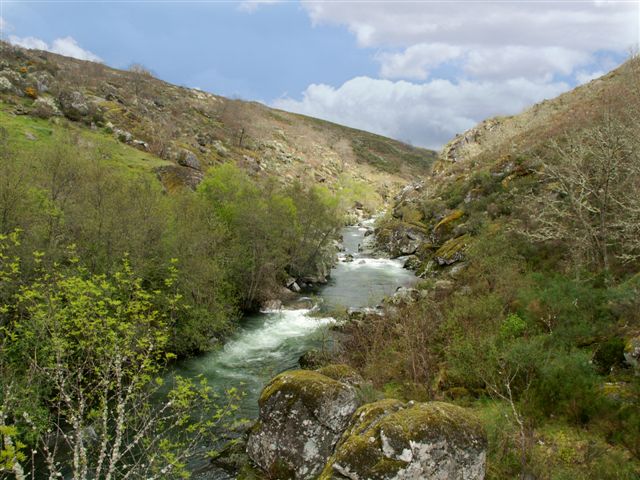 [Rio+Tuela+(Moimenta).jpg]