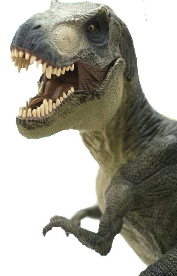 [dinossaurio2.jpg]
