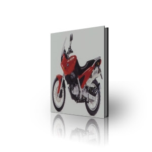 Bmw f650 funduro manual