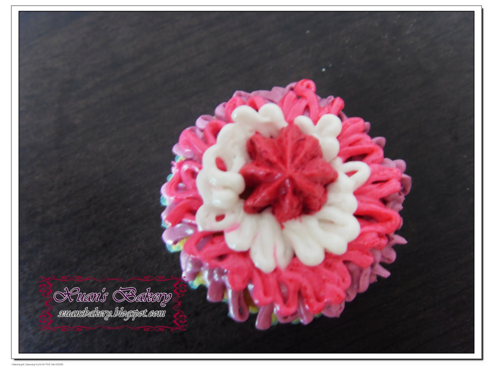 [Copy+of+SDC12322.JPG]