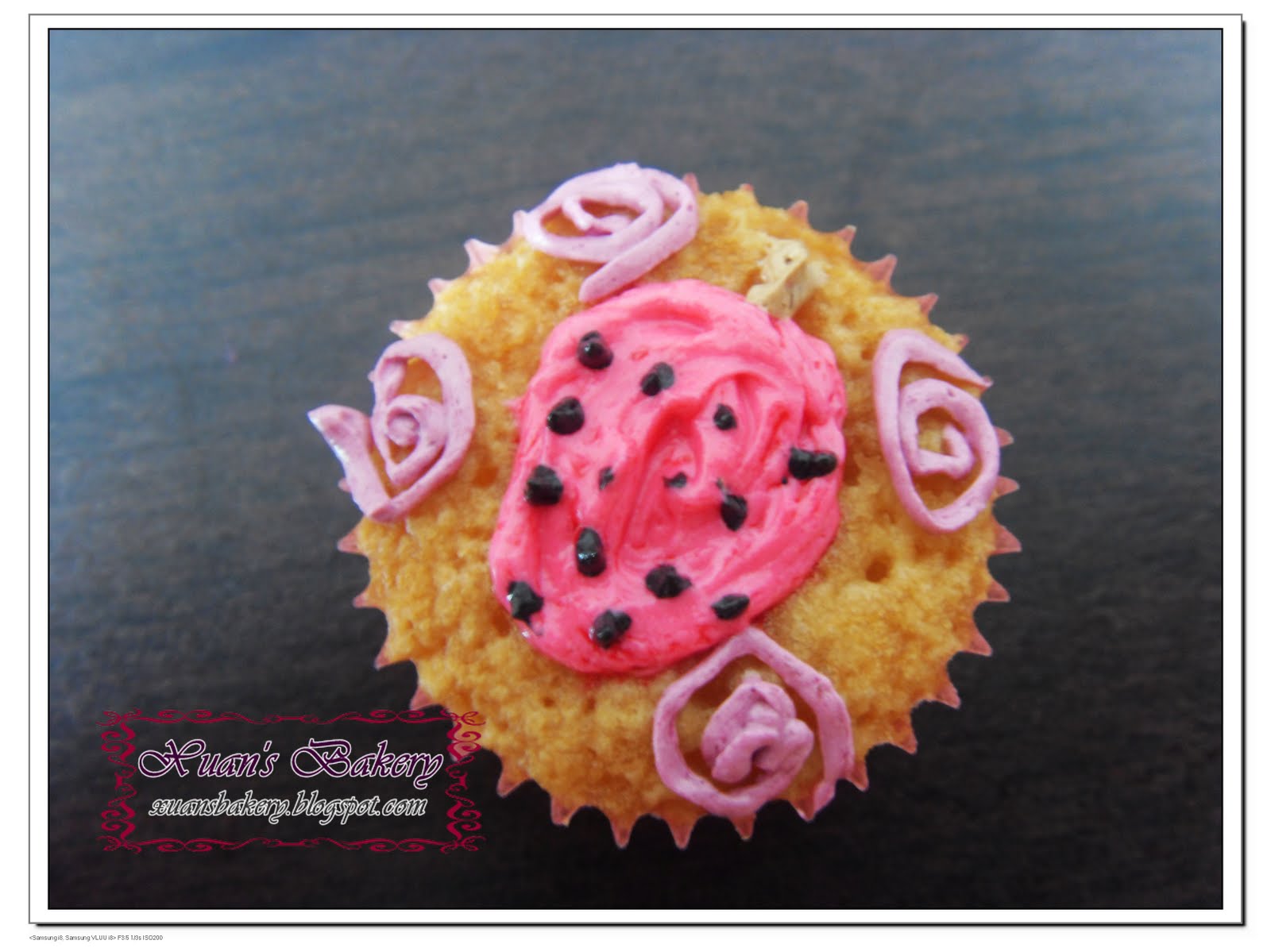 [Copy+of+SDC12305.JPG]