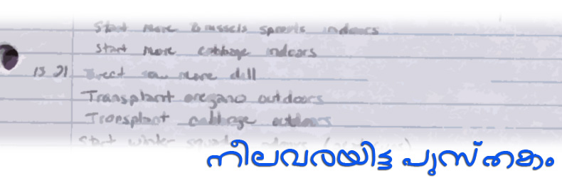 നീലവരയിട്ട പുസ്തകം
