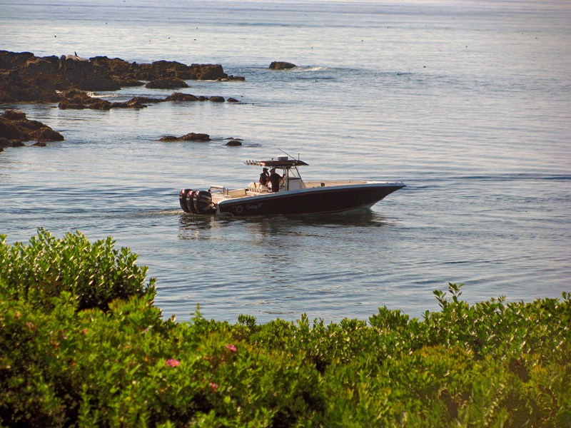 lowe boats president actionshotsnh george h w bush 2010 lowe boats president actionshotsnh george h w bush 2010