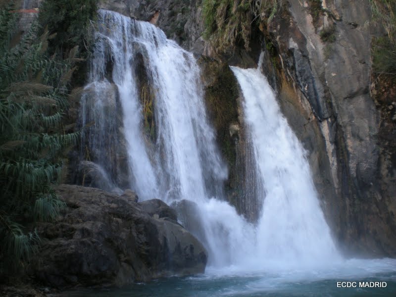 [DSCN0345.JPG]