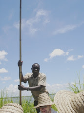 Punting through the Marsh