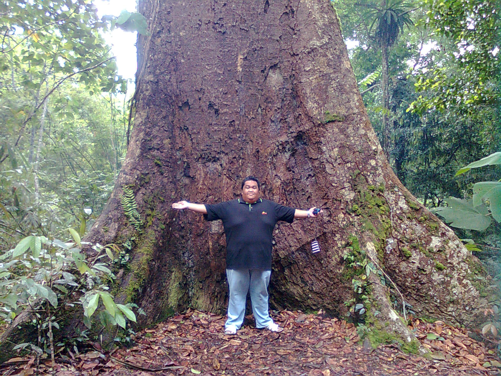 Jalan - Jalan Ke Taman Bukit Tawau