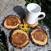 Rustic Willow Coasters