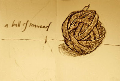 Seaweed ball by david macgregor