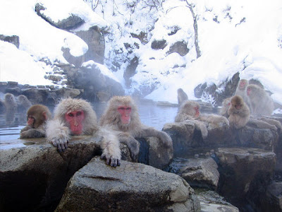 Arctic Monkeys Japan