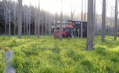 hippy housetruck life for David MacGregor on ThoughtSpurs