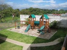 Playground in the front yard
