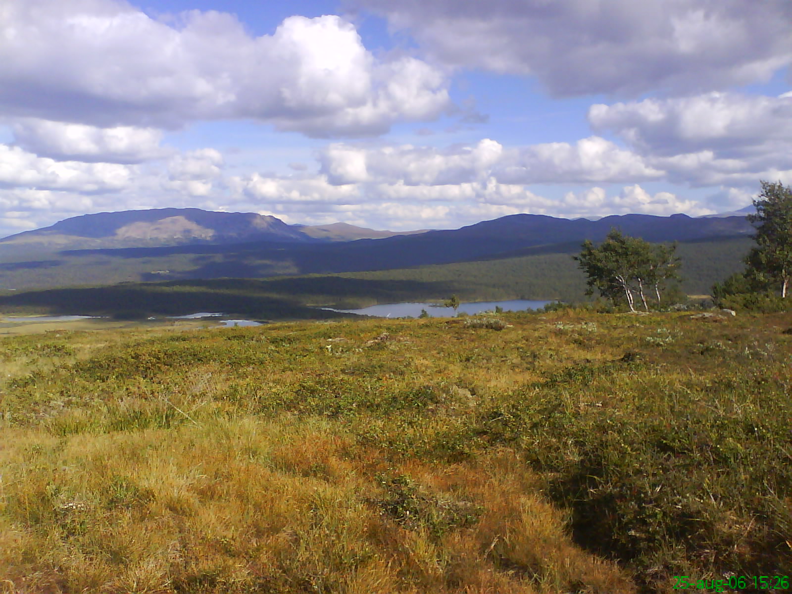 [DSC00130.JPG]