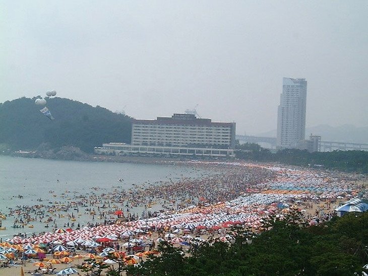 [image004.JPG]