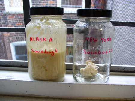 [sourdough.jpg]
