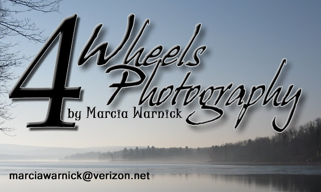 4 Wheels Photography by Marcia