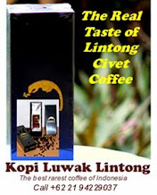 KOPI LUWAK