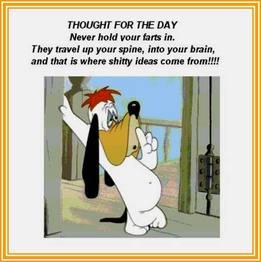 poijaforra funny snow quotes