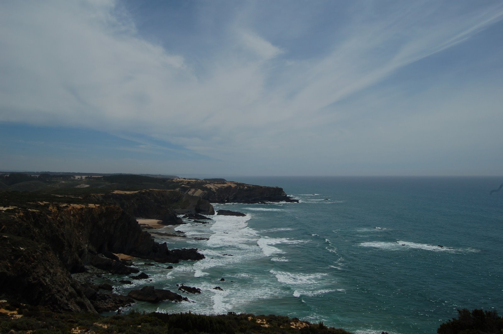[DSC_0019.JPG]