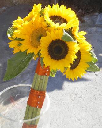 A sunflower handtied posy A sunflower handtied posy