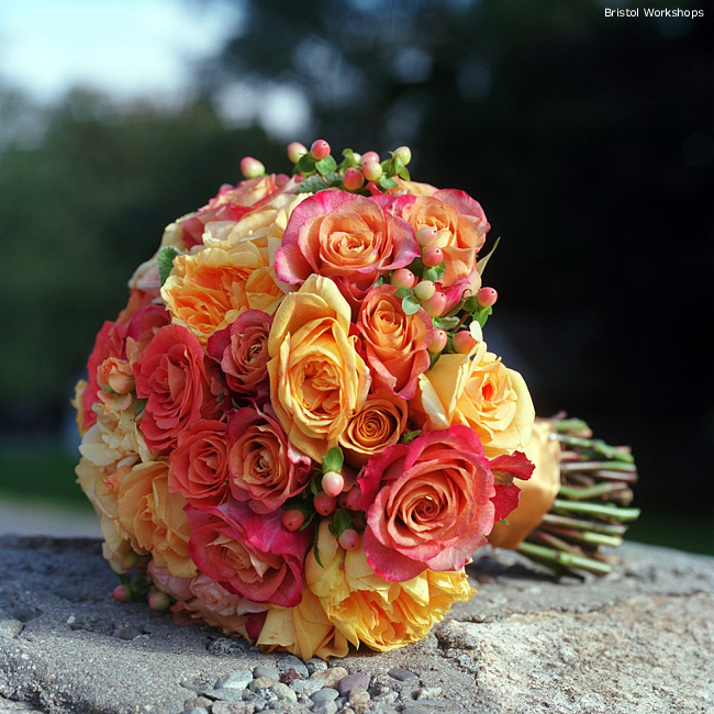 Posted by Kristina Orange Blossom Flowers at 546 PM Posted by Kristina Orange Blossom Flowers at 546 PM