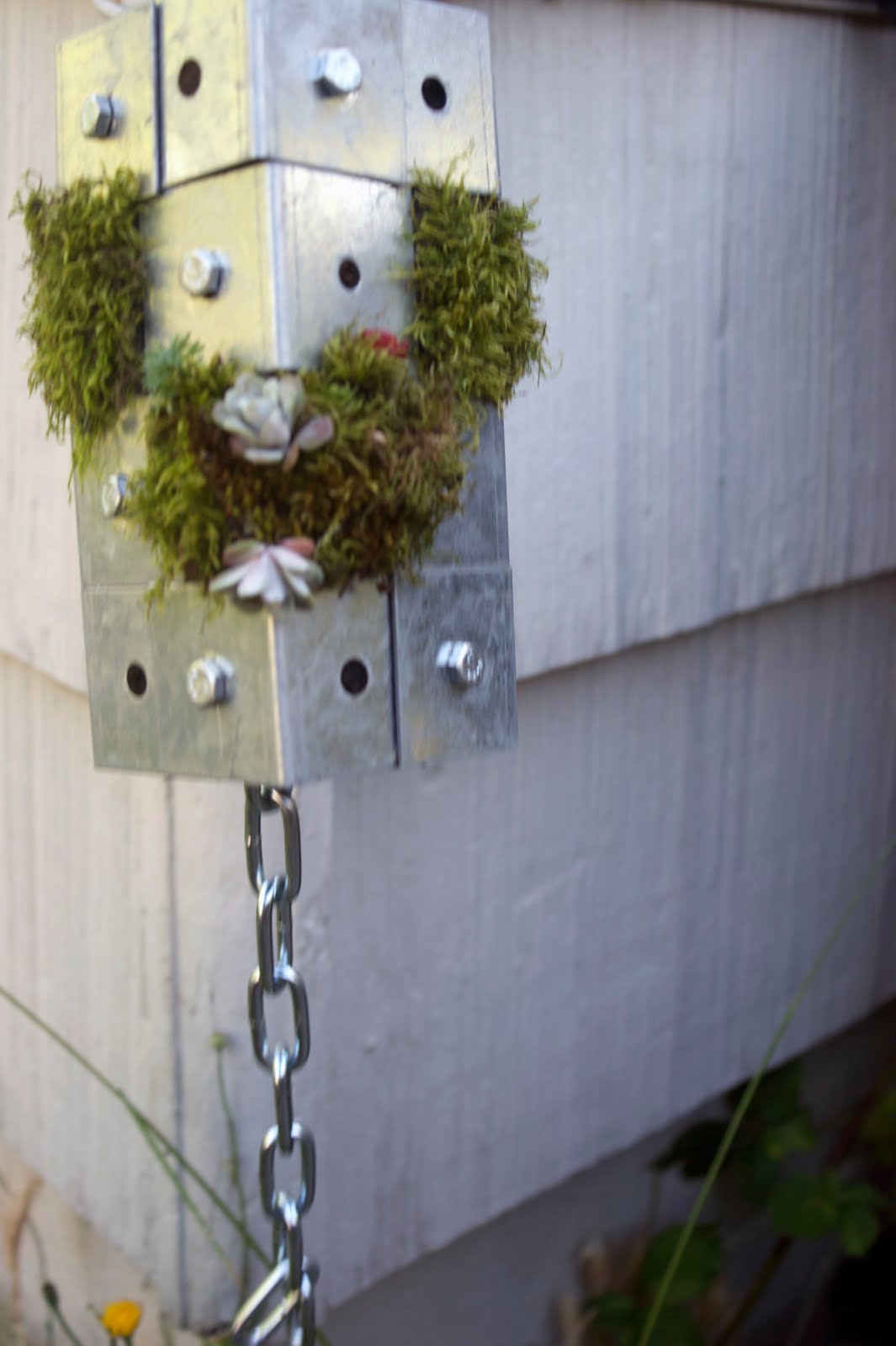 Horticultural Building Systems "Rain Chain Planters" Rena Schlachter