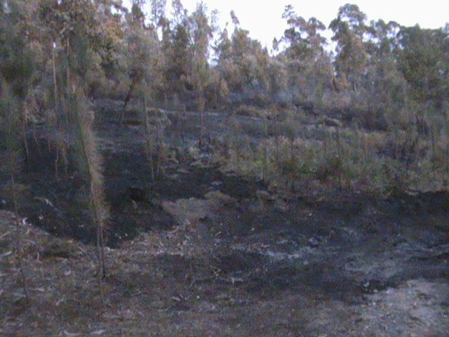 [INCÊNDIO+015.jpg]