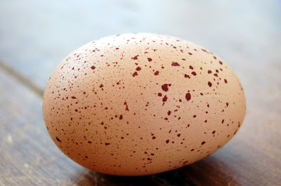 pretty+egg.jpg