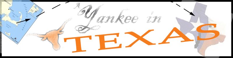 A Yankee in Texas